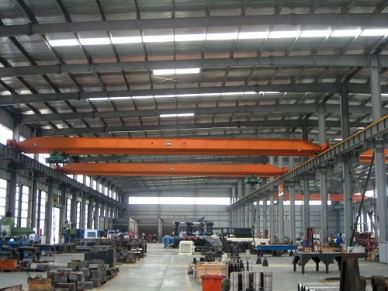 High Speed Crane เดี่ยวความเร็วสูงเดียว